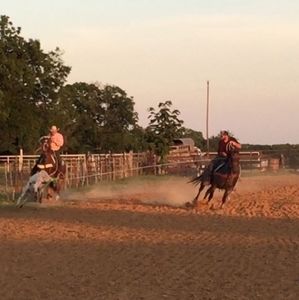 Meet your Posher, Darrell